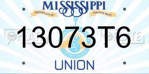 13073T6 Mississippi License Plate