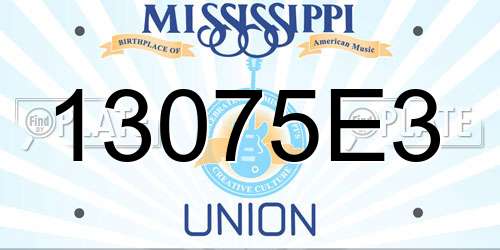13075E3 Mississippi License Plate