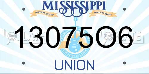 13075O6 Mississippi License Plate