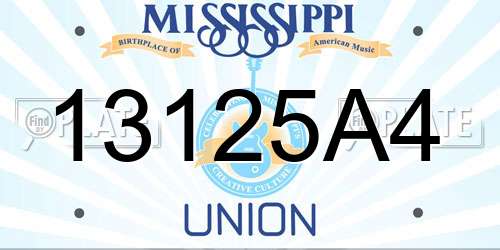 13125A4 Mississippi License Plate