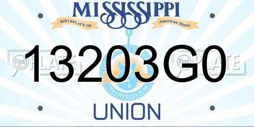 13203G0 Mississippi License Plate