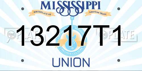 13217T1 Mississippi License Plate