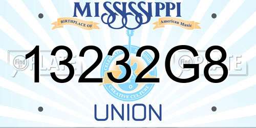 13232G8 Mississippi License Plate