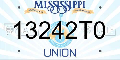 13242T0 Mississippi License Plate