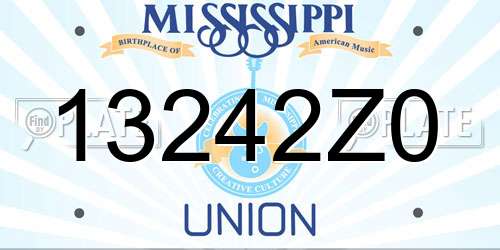 13242Z0 Mississippi License Plate