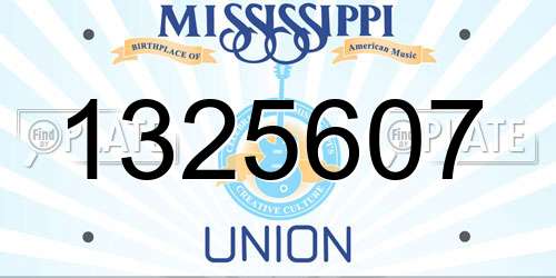 1325607 Mississippi License Plate