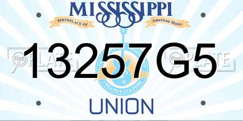 13257G5 Mississippi License Plate