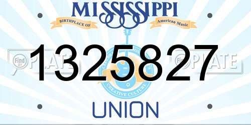 1325827 Mississippi License Plate