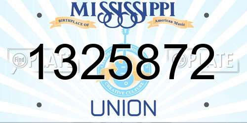 1325872 Mississippi License Plate