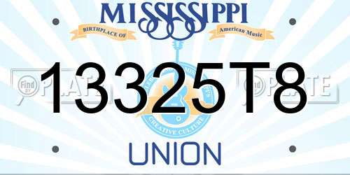13325T8 Mississippi License Plate