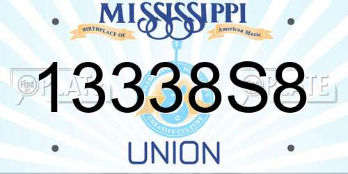 13338S8 Mississippi License Plate