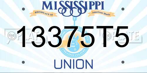 13375T5 Mississippi License Plate