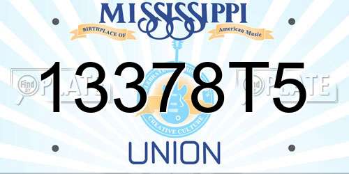 13378T5 Mississippi License Plate