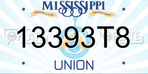 13393T8 Mississippi License Plate