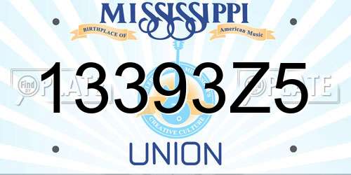 13393Z5 Mississippi License Plate