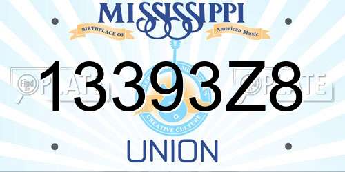 13393Z8 Mississippi License Plate