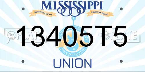 13405T5 Mississippi License Plate