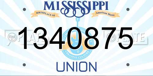 1340875 Mississippi License Plate