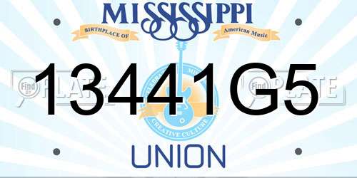 13441G5 Mississippi License Plate