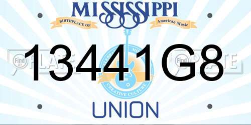 13441G8 Mississippi License Plate