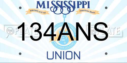 134ANS Mississippi License Plate