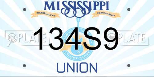 134S9 Mississippi License Plate