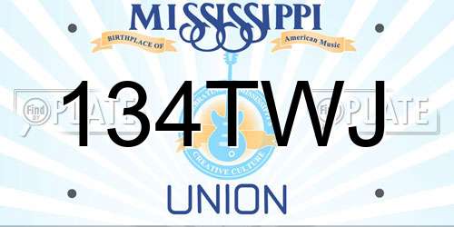 134TWJ Mississippi License Plate