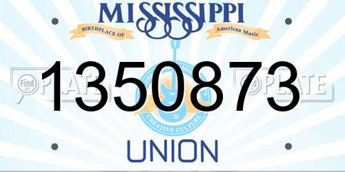 1350873 Mississippi License Plate