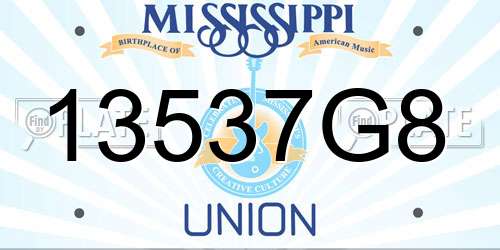 13537G8 Mississippi License Plate