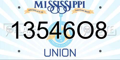 13546O8 Mississippi License Plate