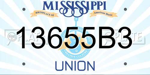 13655B3 Mississippi License Plate