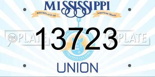 13723 Mississippi License Plate