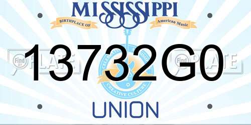 13732G0 Mississippi License Plate