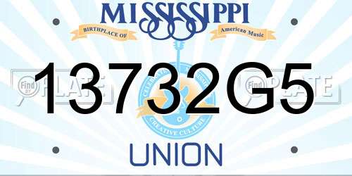 13732G5 Mississippi License Plate