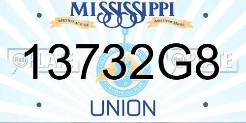 13732G8 Mississippi License Plate