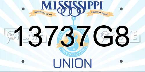 13737G8 Mississippi License Plate