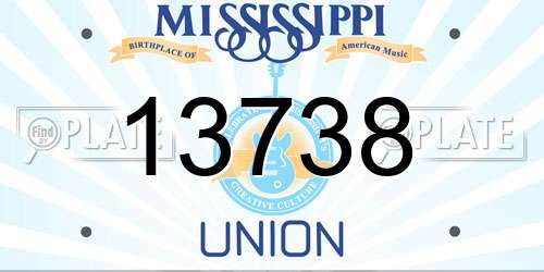 13738 Mississippi License Plate