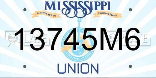 13745M6 Mississippi License Plate
