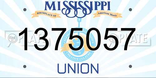 1375057 Mississippi License Plate