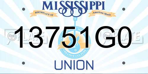 13751G0 Mississippi License Plate