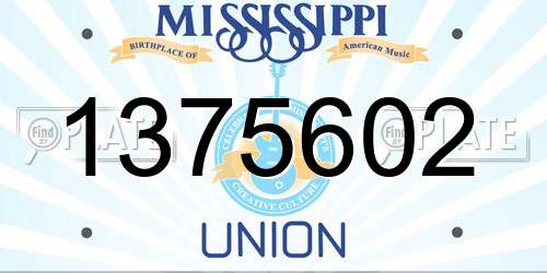 1375602 Mississippi License Plate