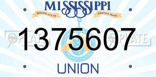 1375607 Mississippi License Plate