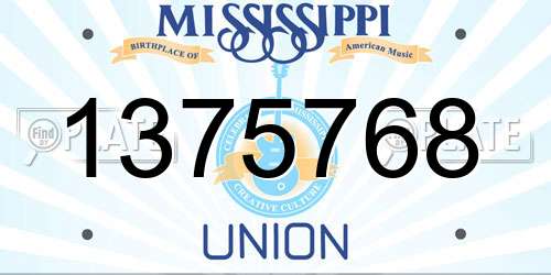 1375768 Mississippi License Plate