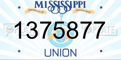 1375877 Mississippi License Plate