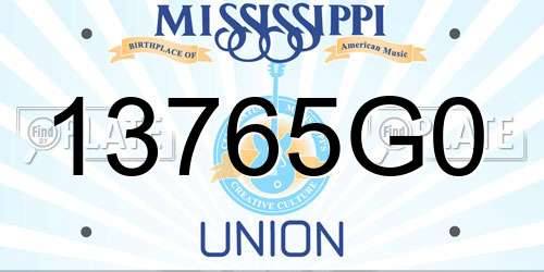 13765G0 Mississippi License Plate