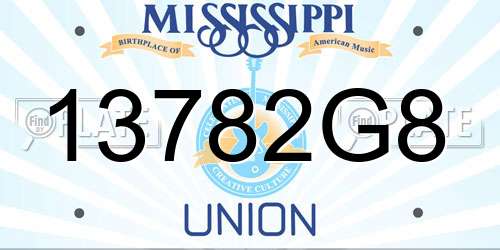 13782G8 Mississippi License Plate