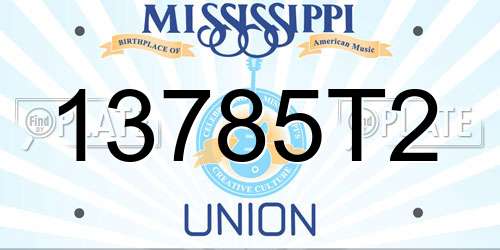 13785T2 Mississippi License Plate