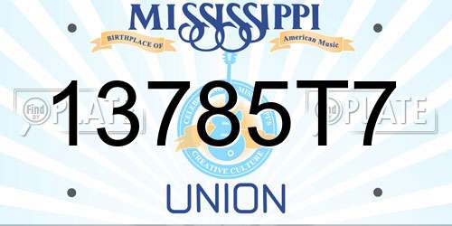 13785T7 Mississippi License Plate