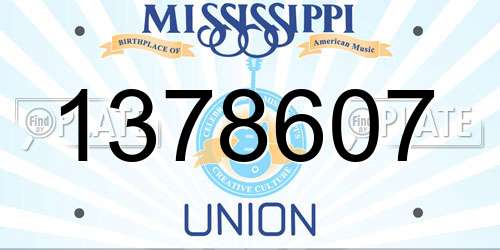 1378607 Mississippi License Plate