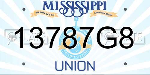 13787G8 Mississippi License Plate